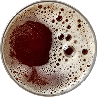 https://www.eguia.beer/wp-content/uploads/2017/05/beer_transparent_02.png